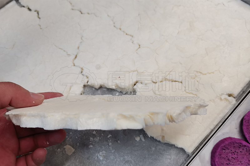 真空冷凍干燥機(jī)